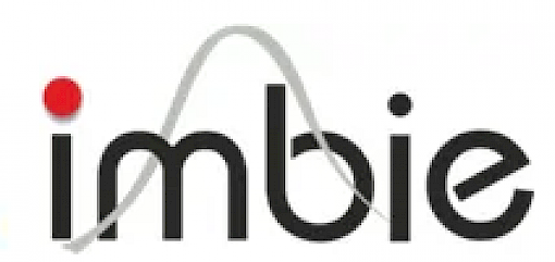 IMBIE Logo